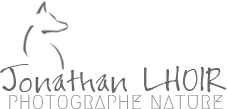 Jonathan Lhoir - Photographe Nature