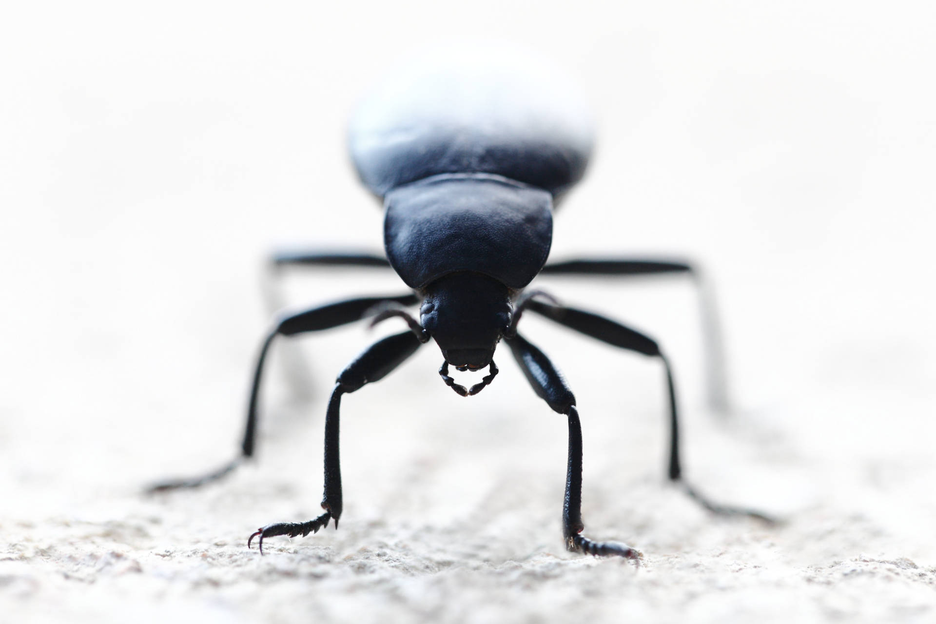 Galerie Another world