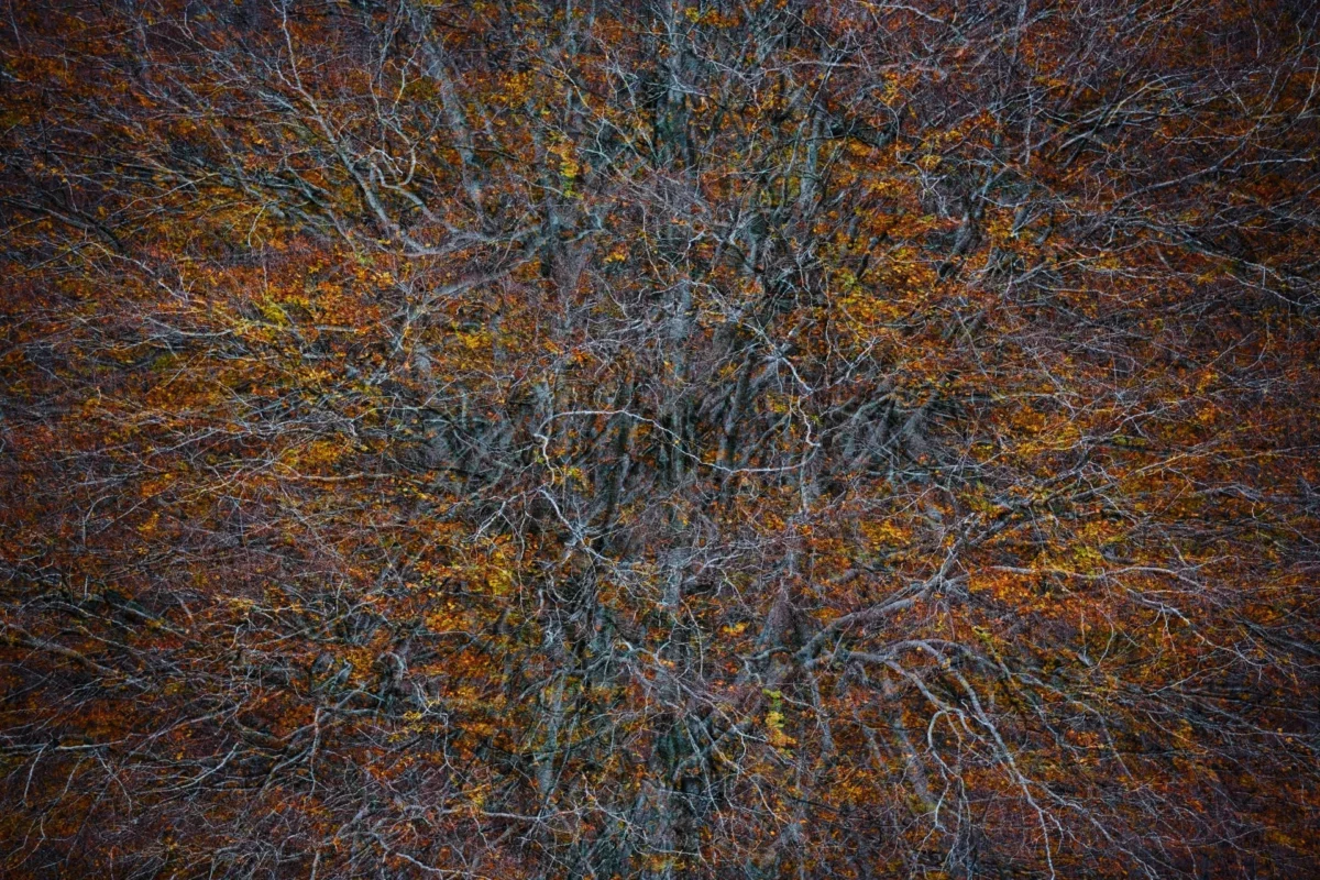 Stage photo Ambiances automnales en Cévennes - Jonathan Lhoir