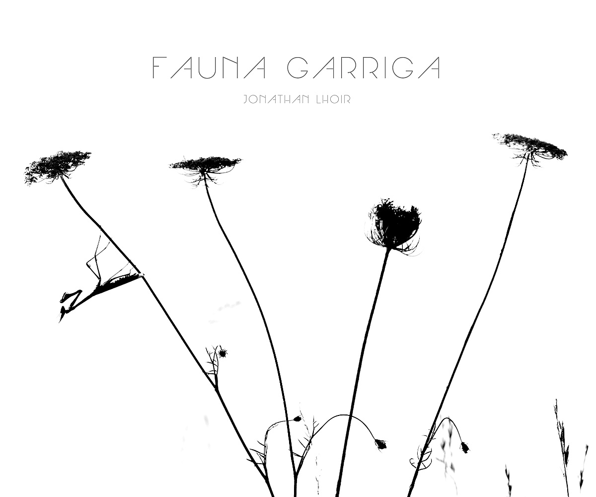 Livre - Fauna garriga - Jonathan Lhoir