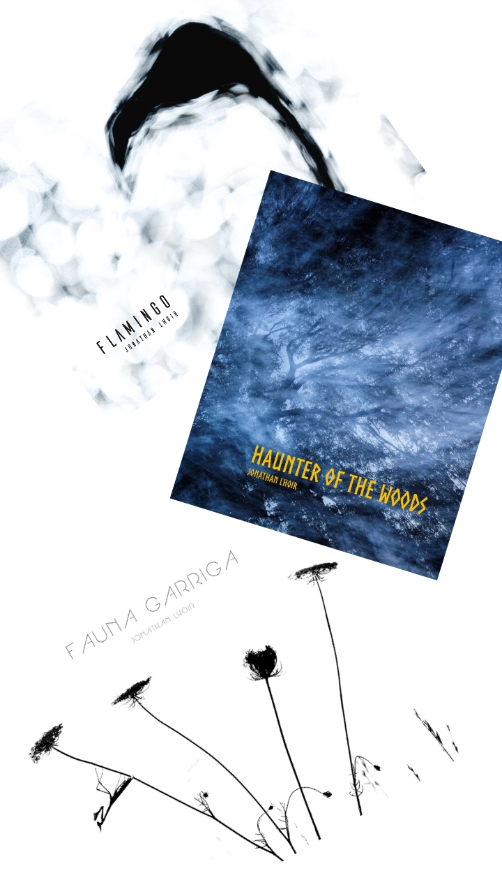 Livres / Books - Jonathan Lhoir