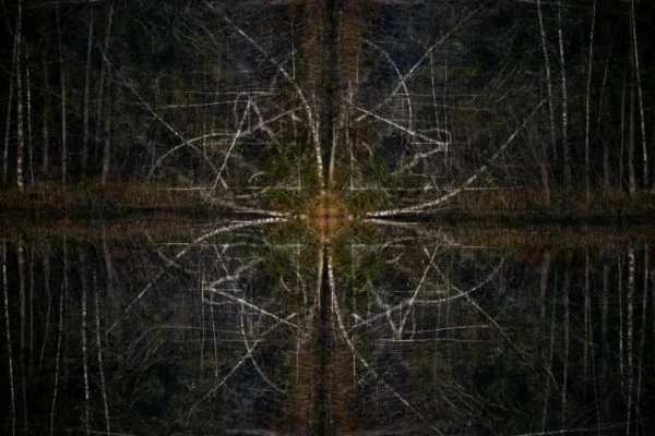 Haunter of the Woods - exposition multiple