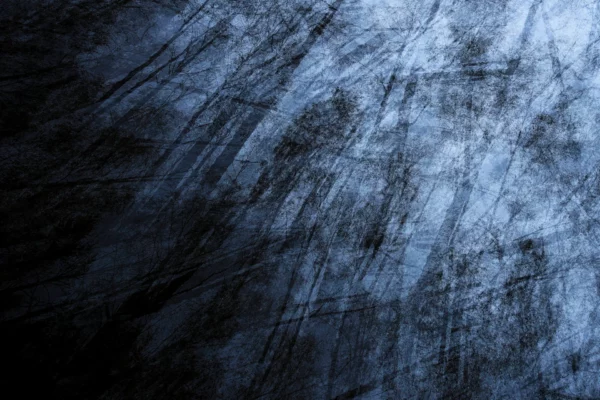 Haunter of the Woods - Parc national des Cévennes