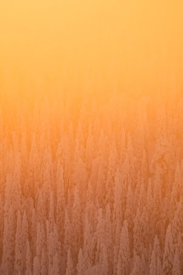 Haunter of the Woods - Valtavaara - Ruka